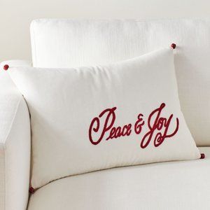 Pottery Barn Peace and Joy Velvet Lumbar Throw Pillow Cover